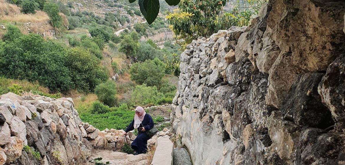 A woman climbs the terraces of Battir. Photo: Author of this article