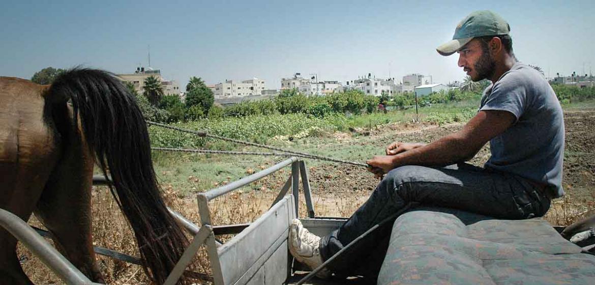 medico international setzt sich in der Westbank für die Rechte von Landwirt*innen ein. Bildquelle: https://commons.wikimedia.org/wiki/File:Palestinian_farmer_and_horse.jpg