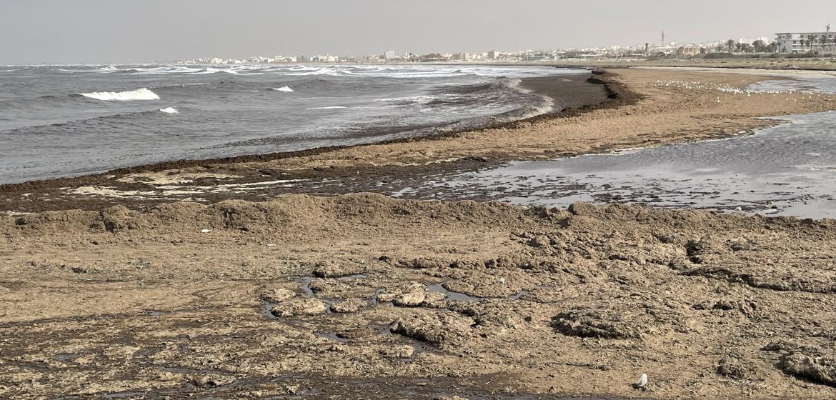 Am Strand von Gabès sind die Spuren der Verschmutzung unübersehrbar. Foto: Philipp Wagner.