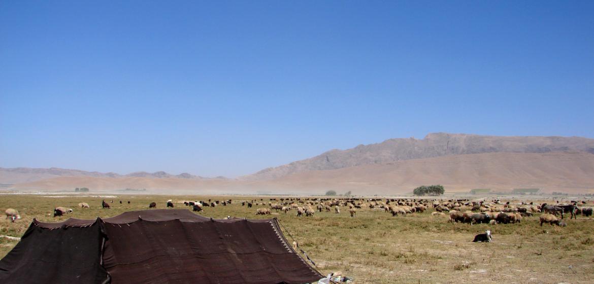 Auch die Weideflächen in der Provinz Tschahar Mahal und Bachtiyarī im Südosten des Iran sind ein möglicher Ort für das geplante atomare Endlager. Photo: Hamed Saber/Flickr (CC-BY-2.0)
