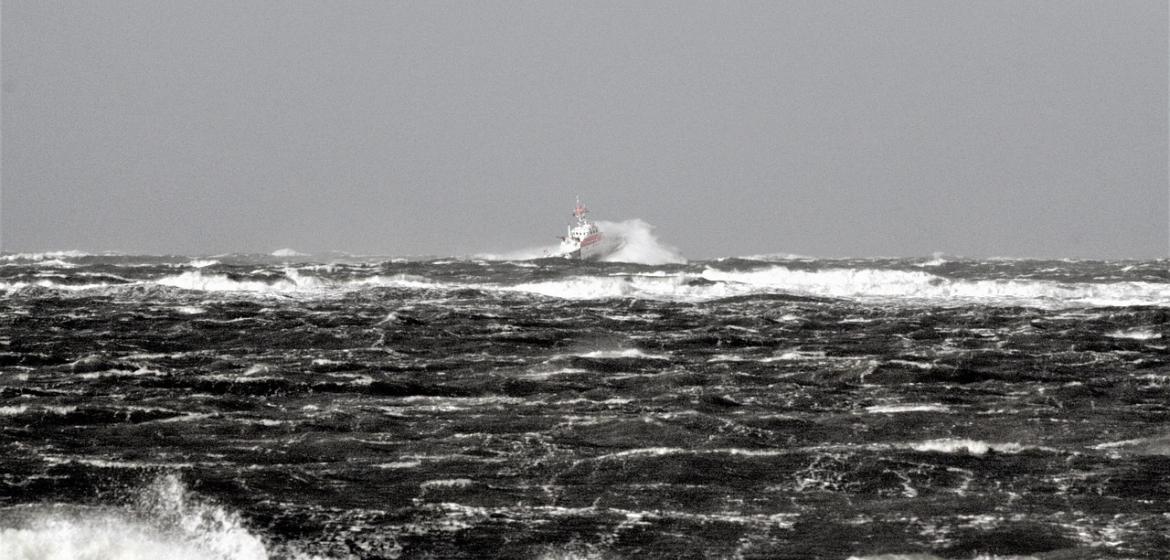 Foto: olleaugust, Pixabay