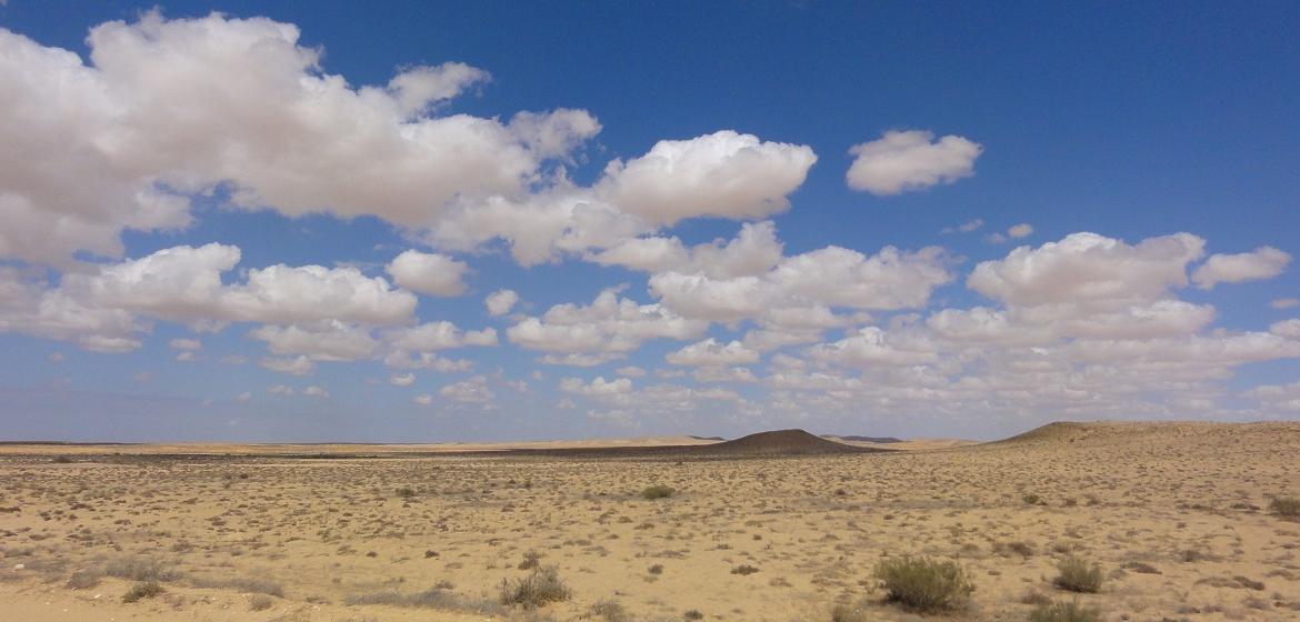 Die Landschaft im nördlichen Sinai nahe des ägyptischen Teils der Stadt Rafah. Foto: Mujaddarah (CC BY-SA 3.0 DEED)