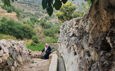 A woman climbs the terraces of Battir. Photo: Author of this article