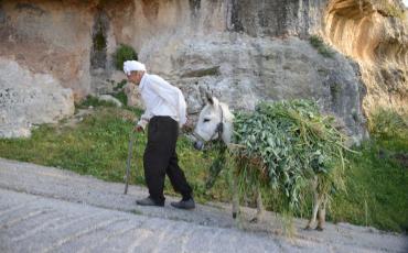 Ein Landwirt bei der Arbeit in Battir. Foto: Tobias Pietsch