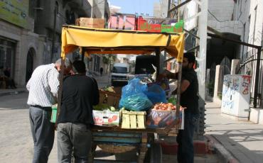 Gaza-Streifen: Einst fruchtbares Anbaugebiet, müssen viele Lebensmittel jetzt eingeführt werden. Foto: Tobias Raschke