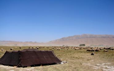 Auch die Weideflächen in der Provinz Tschahar Mahal und Bachtiyarī im Südosten des Iran sind ein möglicher Ort für das geplante atomare Endlager. Photo: Hamed Saber/Flickr (CC-BY-2.0)