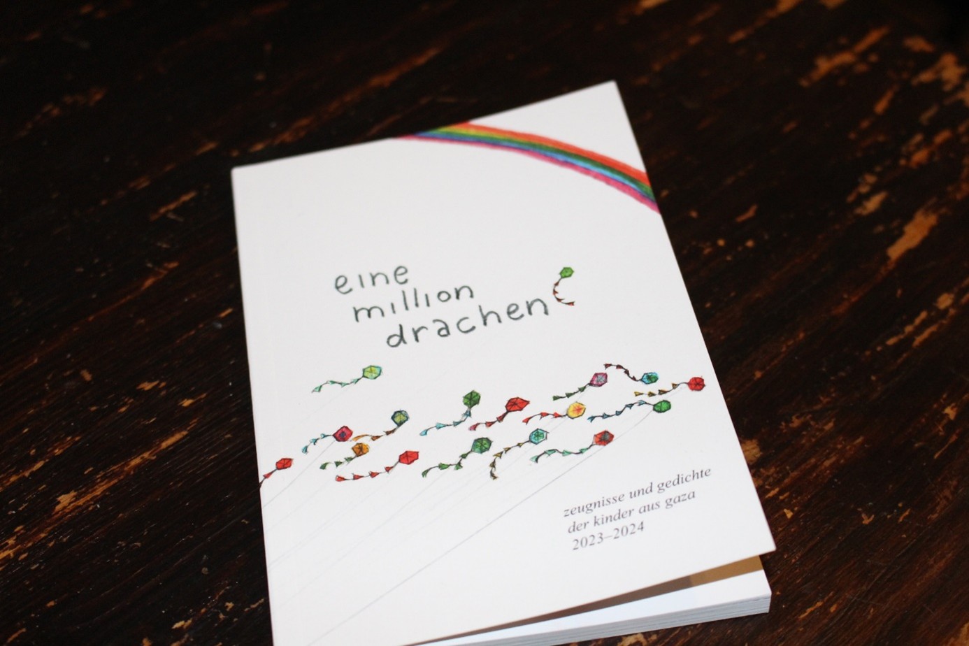 Bild: Buchcover eine million drachen. Fotografin: Sonja Lamer.