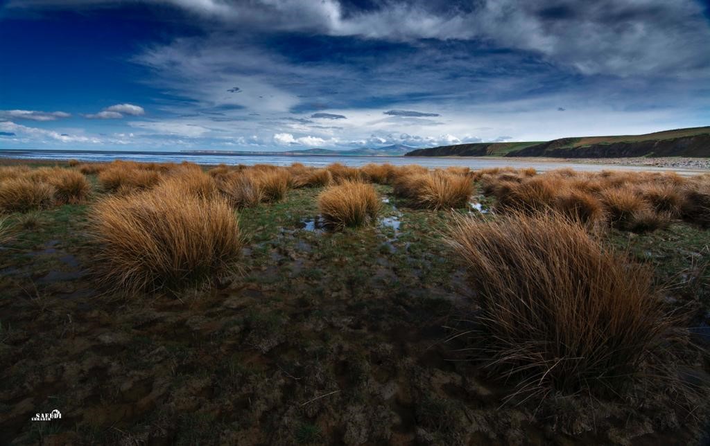 Lange war der Urmia-See Rastplatz von Pelikanen, Flamingos und weiteren Zugvögelarten, die sich von Salzwasserkrebsen im See ernährten. Der steigende Salzgehalt gefährdet ihre Nahrungsgrundlage. Foto: Ebrahim Saeedi.